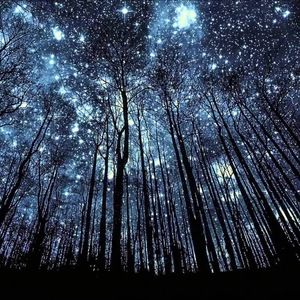 Meet your Posher, Komal